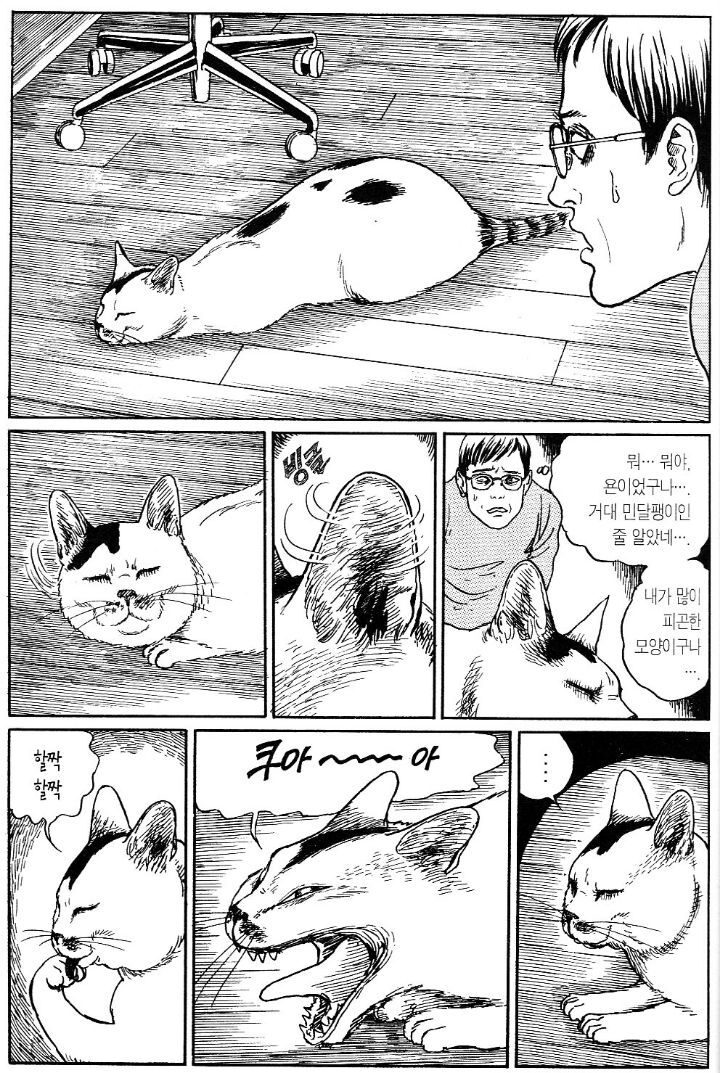 정말게 사실적으로 자비없는 이토준지 고양이 묘사.jpg | 인스티즈