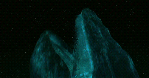 [라이프오브파이] 재개봉하면 아이맥스로 꼭 다시 한번 보고 싶은 영상미 대박적인 영화.gif | 인스티즈