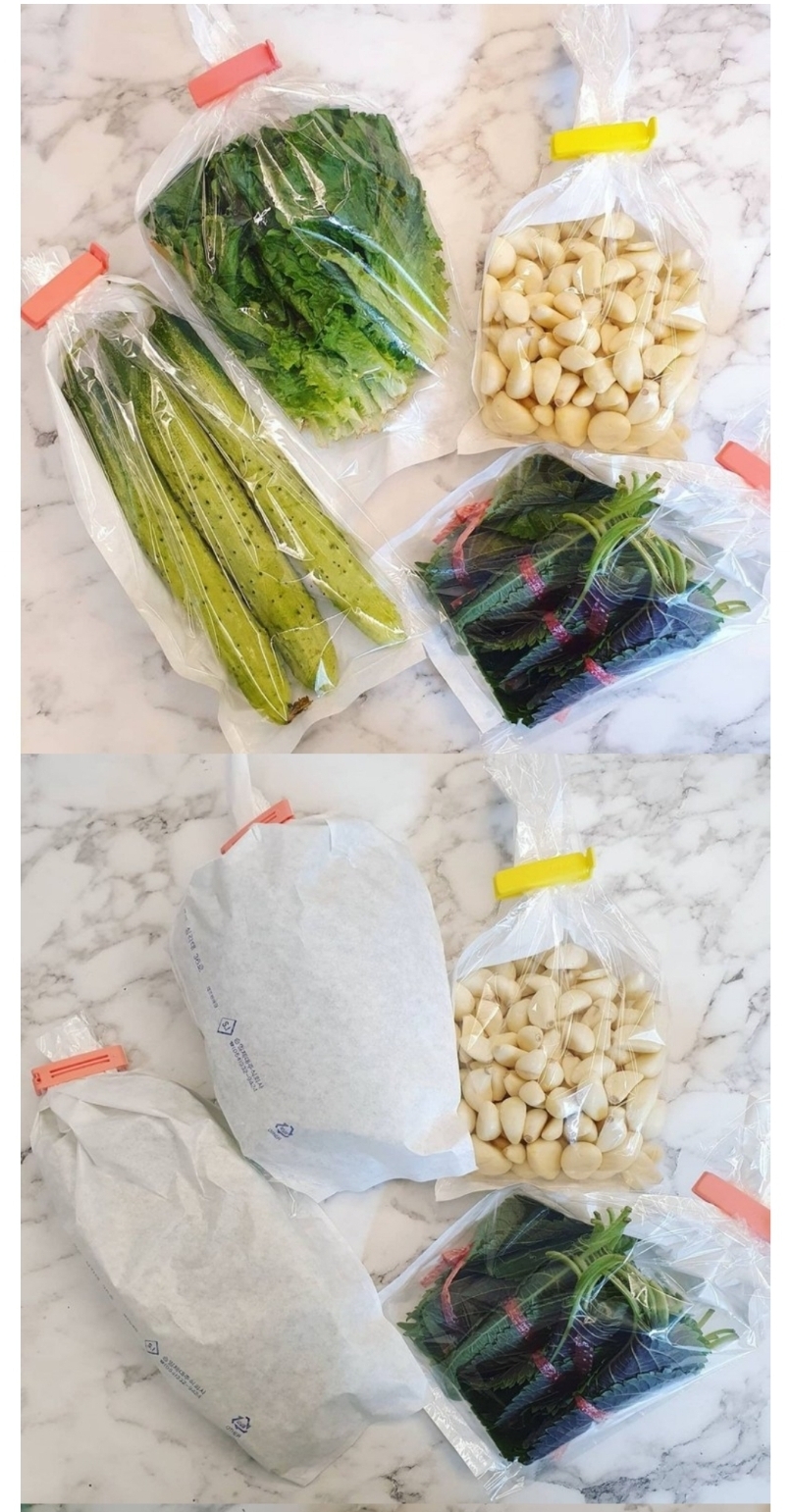 야채, 과일 보관할 때 핫템으로 떠오른 봉투🍇.jpg | 인스티즈