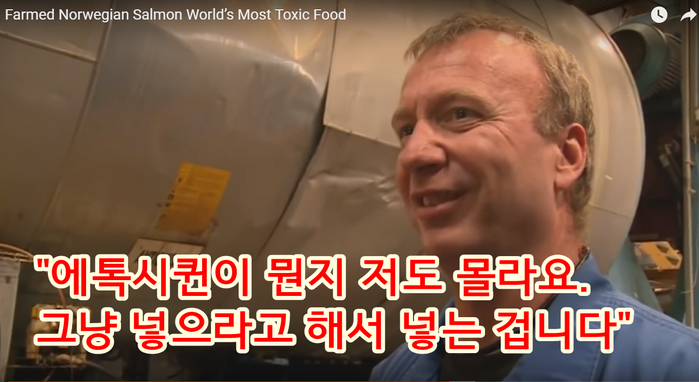 알고는 절대 못 먹는 노르웨이 연어의 무서운 비밀 (바다 이, 생선 우글거리는 사진 주의) | 인스티즈