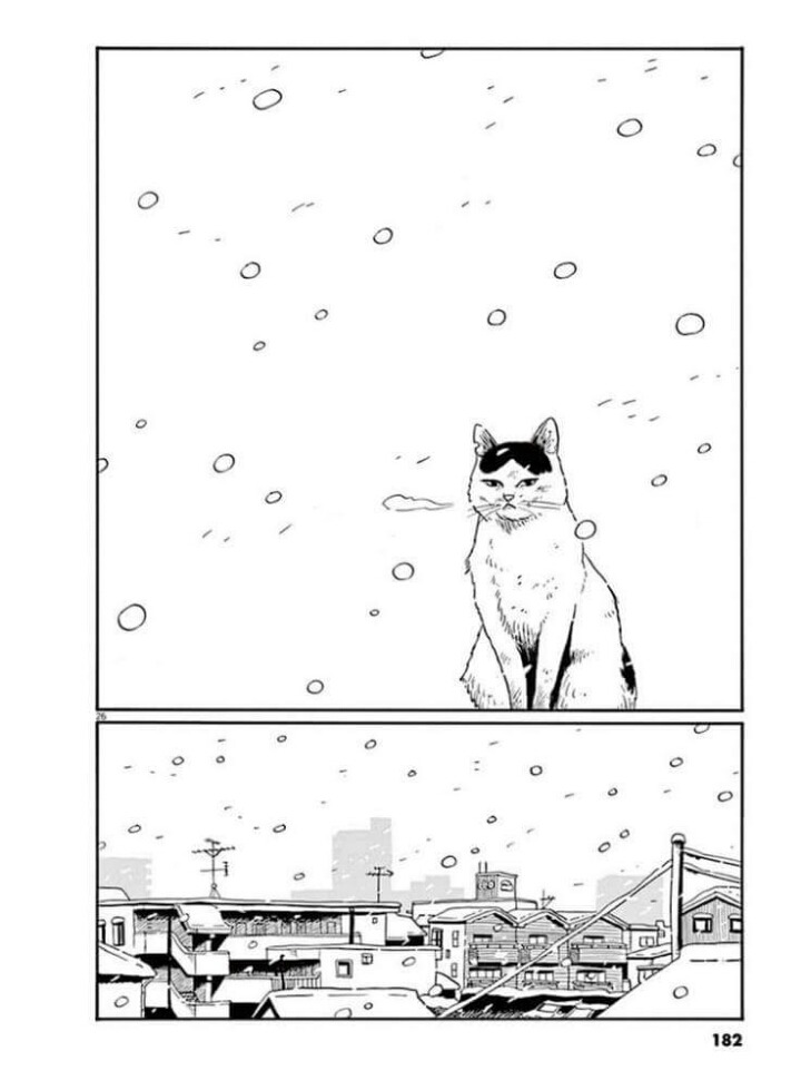 고양이 분짱 | 인스티즈