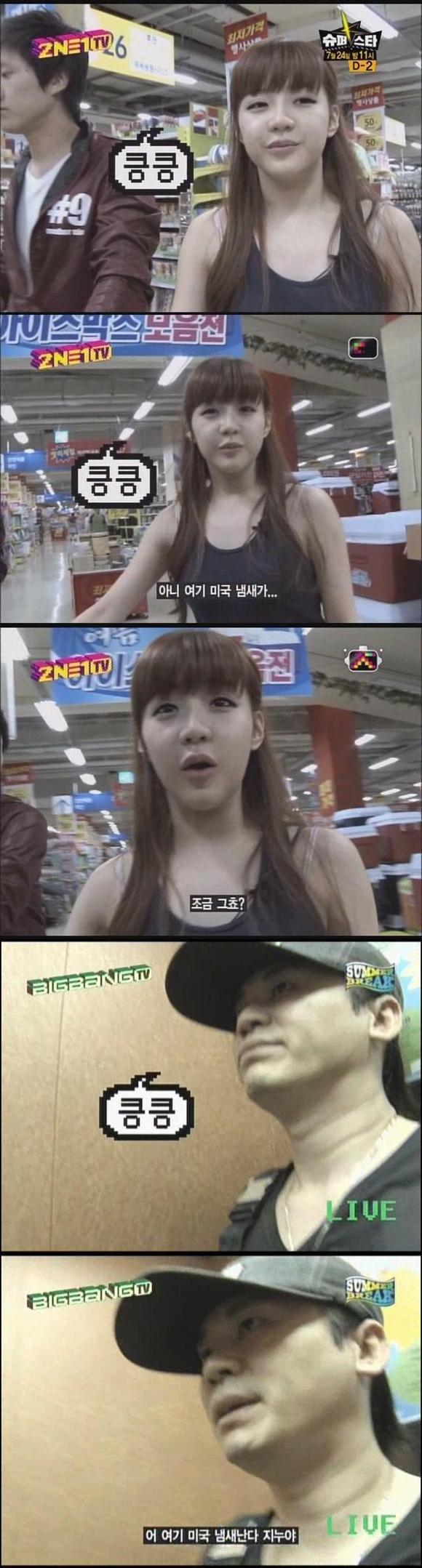 본사람들은 아직도 무슨말인지 모르는 양현석과 박봄이 맡은 냄새.jpg | 인스티즈