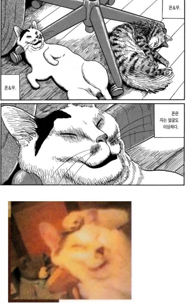 정말게 사실적으로 자비없는 이토준지 고양이 묘사.jpg | 인스티즈