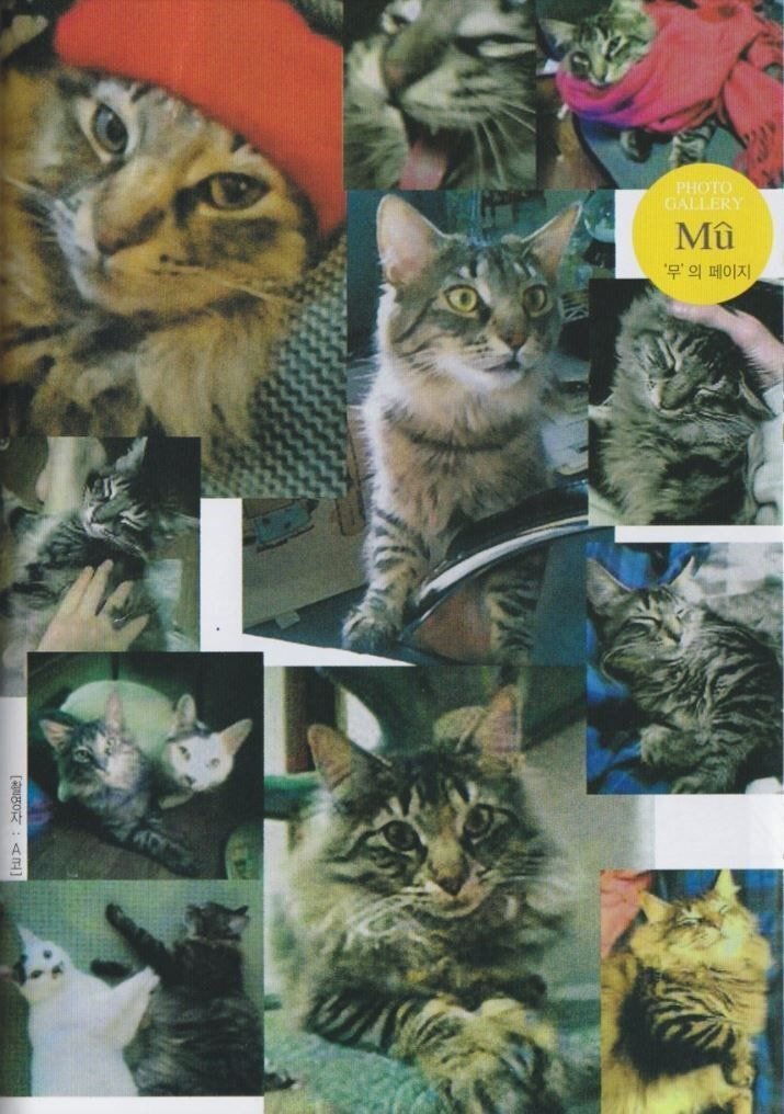 정말게 사실적으로 자비없는 이토준지 고양이 묘사.jpg | 인스티즈