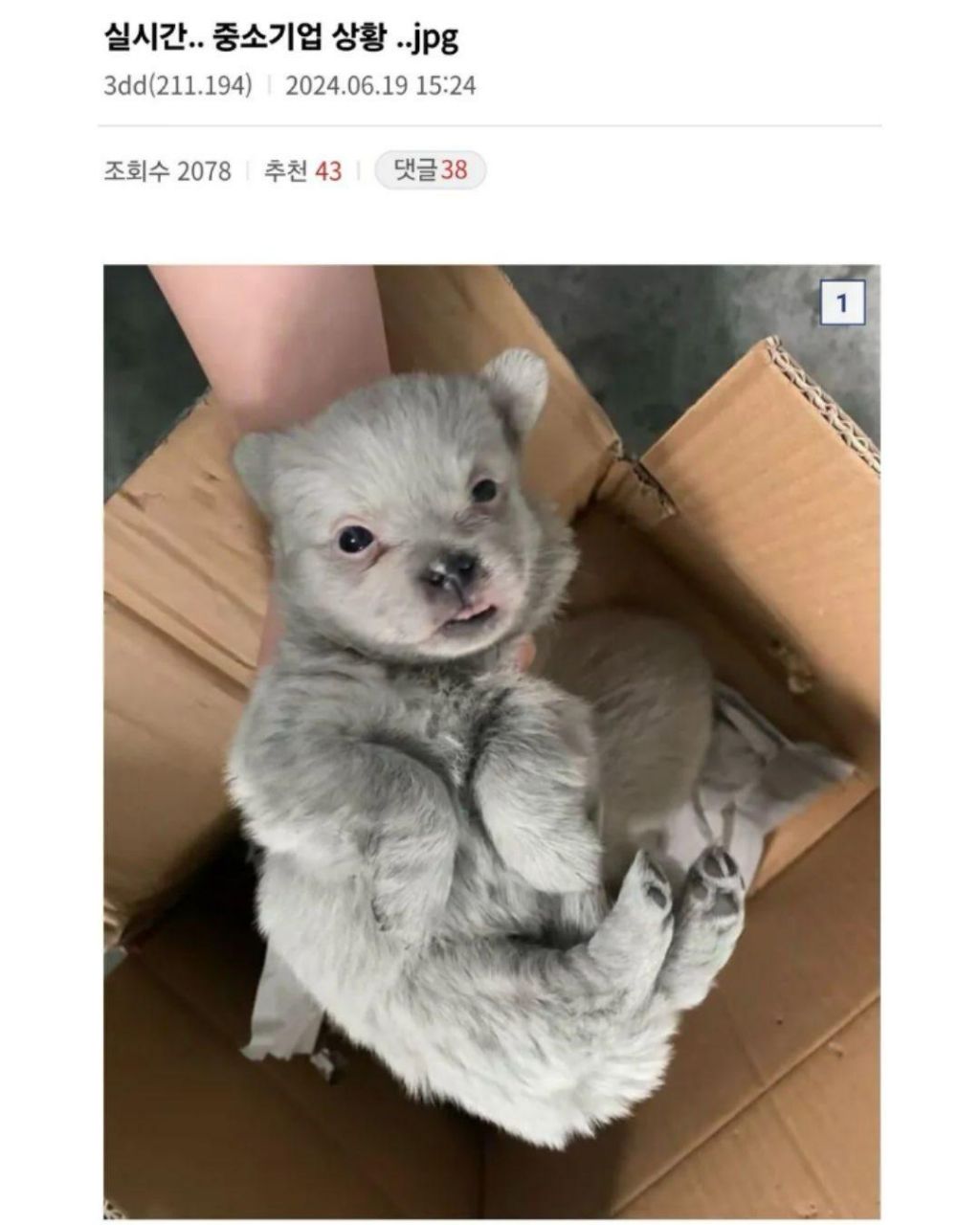 이사가게 된 꼬물이들 | 인스티즈