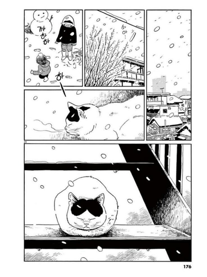 고양이 분짱 | 인스티즈