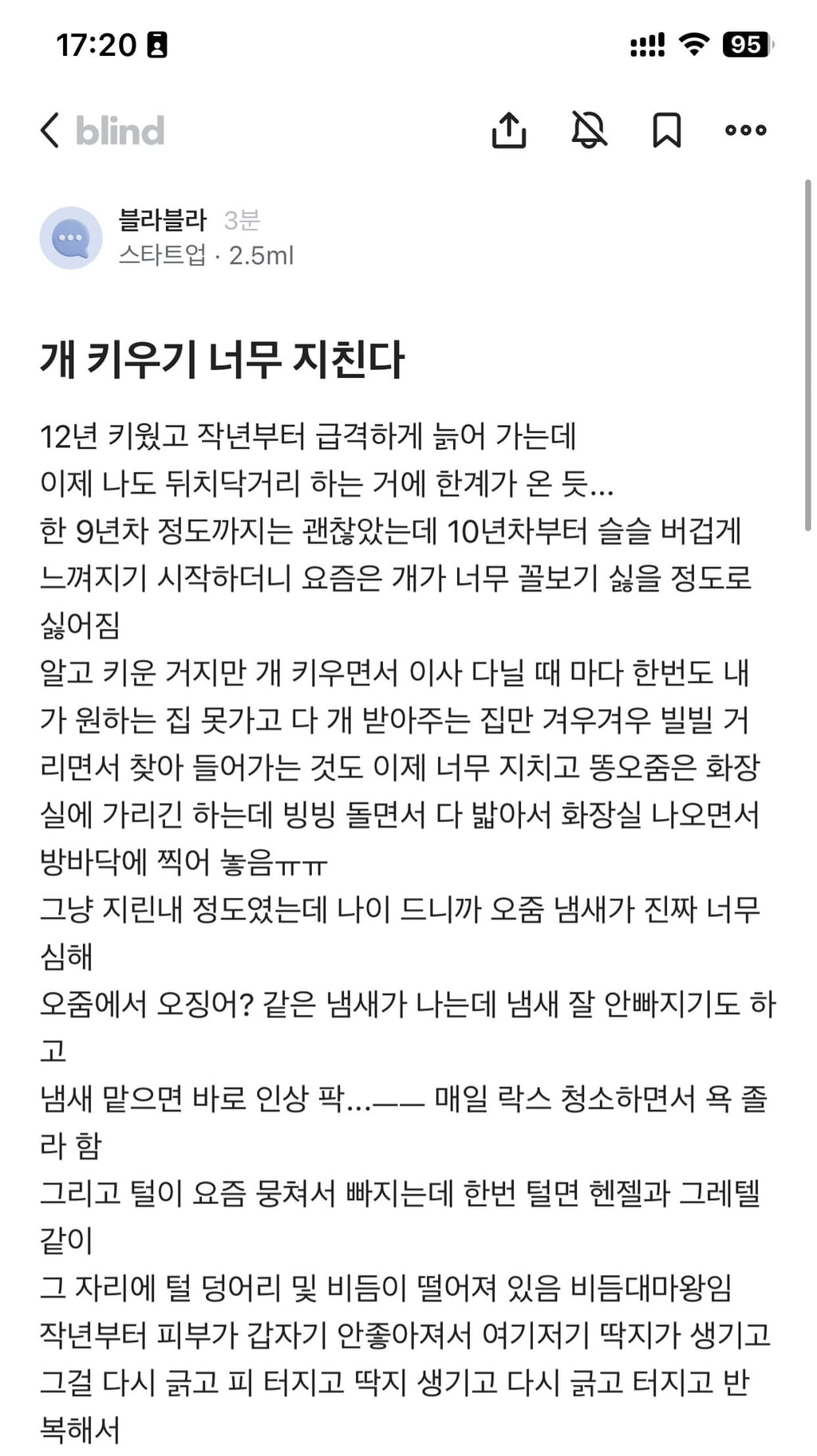 강아지 늙으니까 지겹고 화난다 | 인스티즈