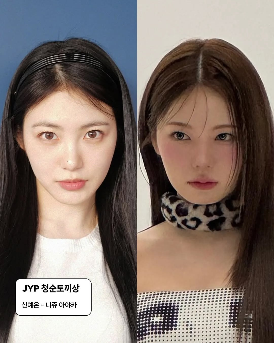 SM에 수박상이 있다면, JYP에는 박박상이 있다 | 인스티즈