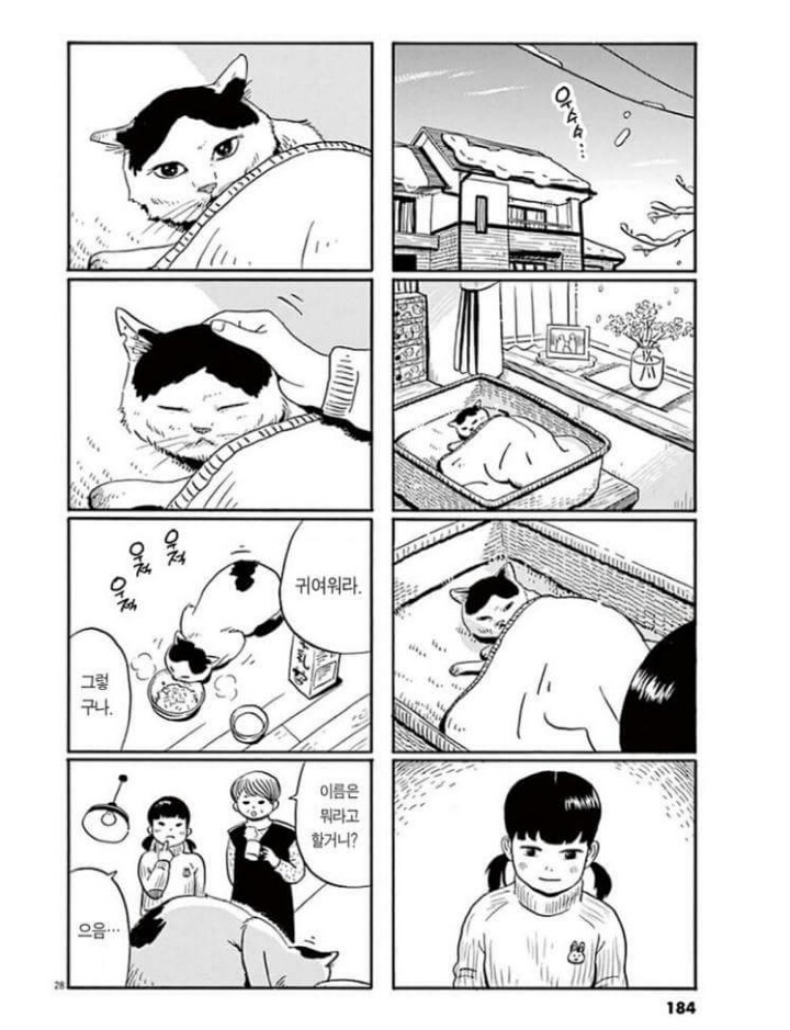 고양이 분짱 | 인스티즈