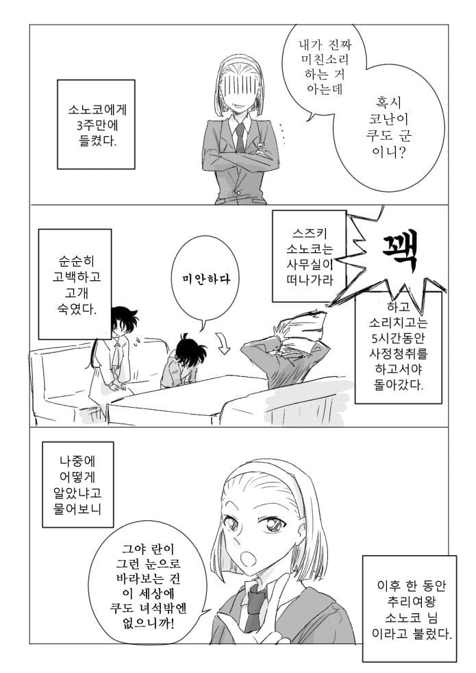 진짜 작가도 이거보단 잘 못만들것같다는 명탐정 코난 팬이 그린 결말 | 인스티즈