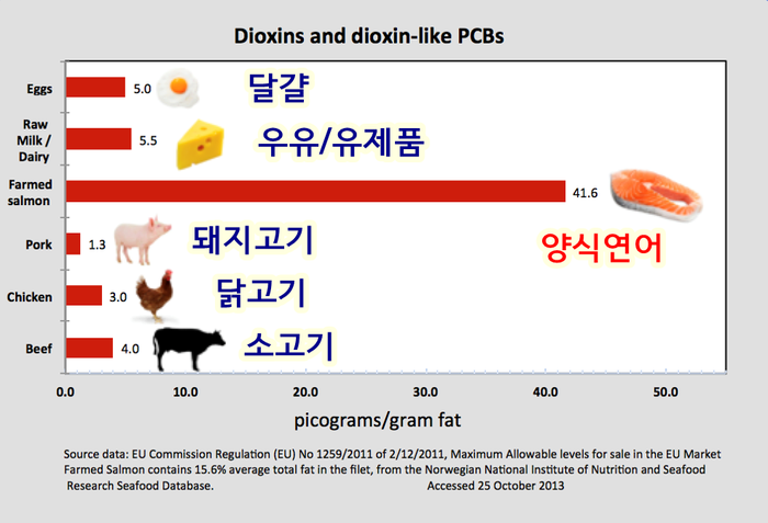 알고는 절대 못 먹는 노르웨이 연어의 무서운 비밀 (바다 이, 생선 우글거리는 사진 주의) | 인스티즈
