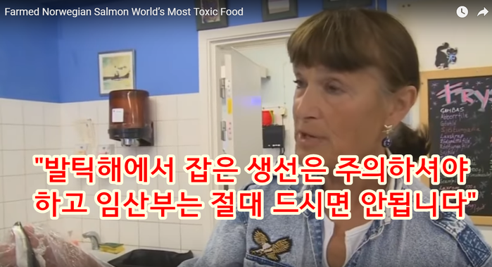 알고는 절대 못 먹는 노르웨이 연어의 무서운 비밀 (바다 이, 생선 우글거리는 사진 주의) | 인스티즈