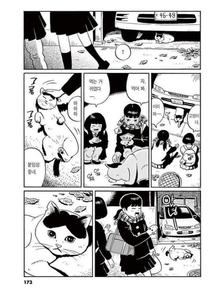 고양이 분짱 | 인스티즈