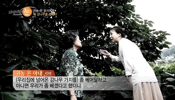 여성귀농인의 현실을 보여준 어제자 리얼스토리.jpg | 인스티즈