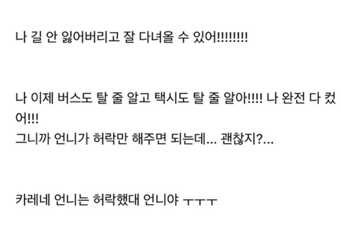 언니.. 나 내일 옆집 카레랑 롯데월드 가기로 했는데 3만원민 주면 안돼..???? | 인스티즈
