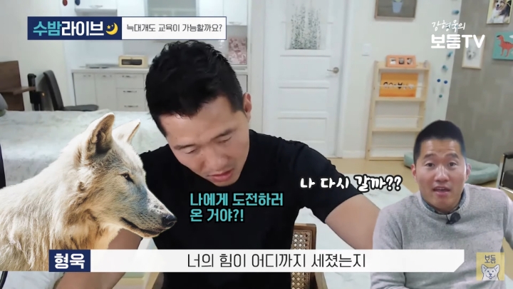 강형욱이 말하는 늑대를 집에서 키울 수 없는 이유 | 인스티즈