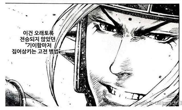 [만화] 아는 사람만 아는 삼국지 만화 화봉요원 등장인물 | 인스티즈