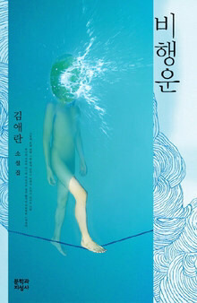 저작권 의식 참..; 이란 생각 들었던 노래 비행운 가사 사건 | 인스티즈