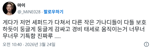 어떤 사람이 이웃집 강아지 일곱마리를 훔처서 개장수한테 팔았는데 | 인스티즈