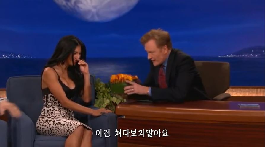 니콜 셰르징거 가슴 훔쳐보다 걸린 코난 오브라이언 | 인스티즈