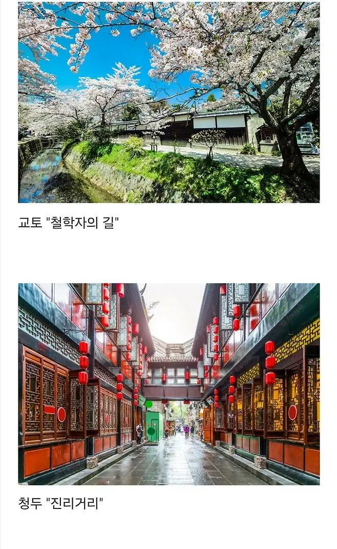 세계에서 제일 예쁜 길이라고 함.jpg | 인스티즈