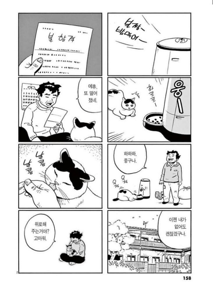 고양이 분짱 | 인스티즈