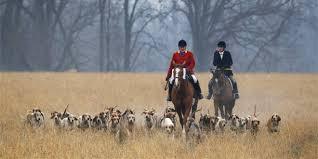 영국의 상류 계급 | 인스티즈