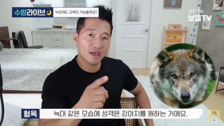강형욱이 말하는 늑대를 집에서 키울 수 없는 이유 | 인스티즈