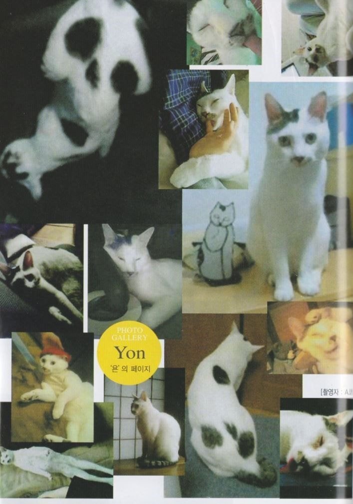 정말게 사실적으로 자비없는 이토준지 고양이 묘사.jpg | 인스티즈