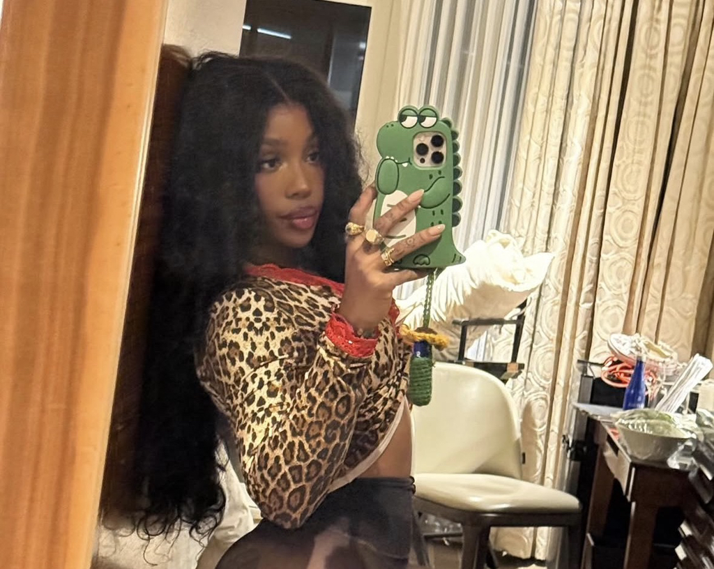 특이한 핸드폰 케이스를 즐겨쓰는듯한 SZA (스자) | 인스티즈