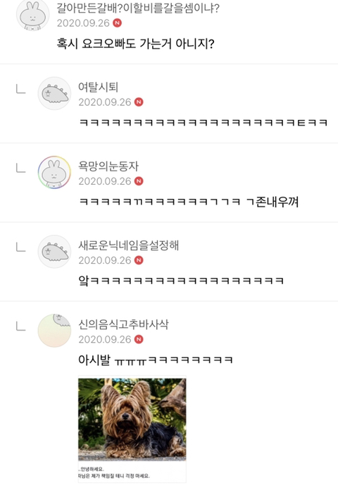 언니.. 나 내일 옆집 카레랑 롯데월드 가기로 했는데 3만원민 주면 안돼..???? | 인스티즈