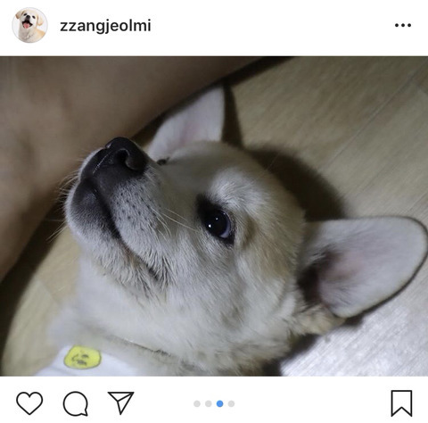 짱절미 인스타 주접계 레전드 등장 | 인스티즈