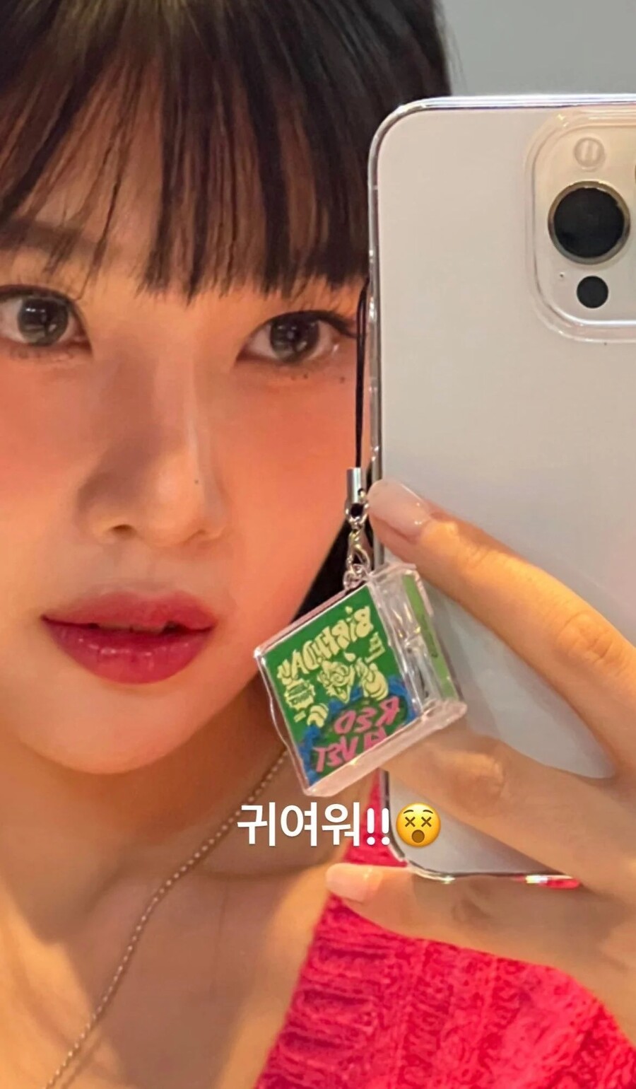 SM에서만 나오는 소수 마니아층들이 환장한다는 스미니 앨범 | 인스티즈