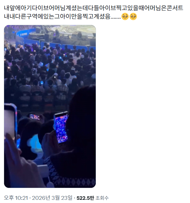 아이브 콘서트에서 아이브 말고 다른 사람을 찍는 관객 | 인스티즈