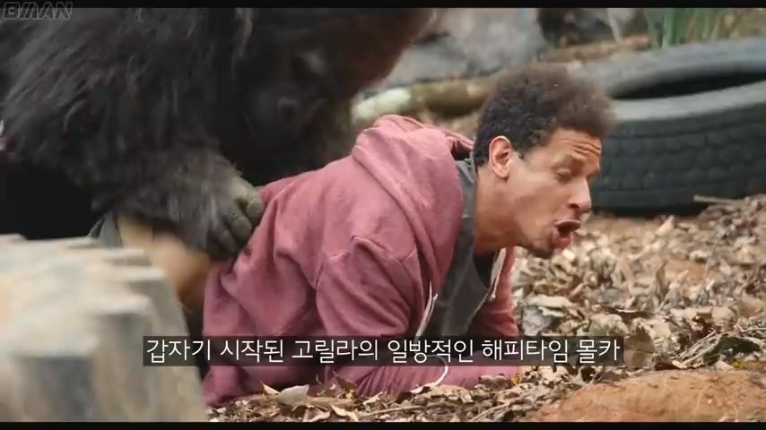 스케일이 남다른 정신나간 넷플릭스 몰래카메라 | 인스티즈