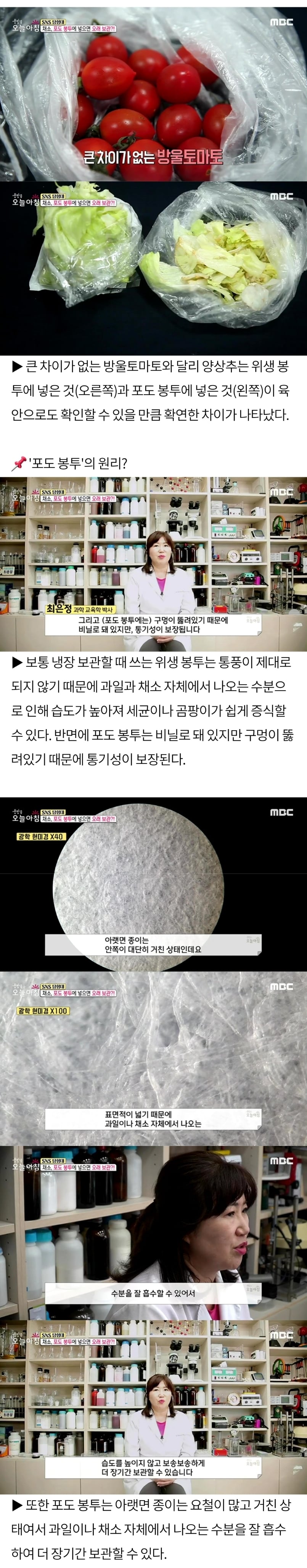 야채, 과일 보관할 때 핫템으로 떠오른 봉투🍇.jpg | 인스티즈