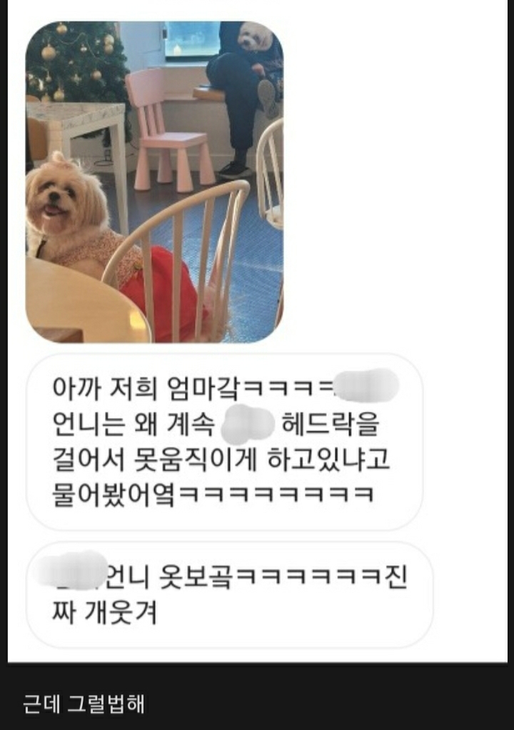 여시들이 사는 소소한 이야기(동물캡쳐 많음 ㅋ) | 인스티즈