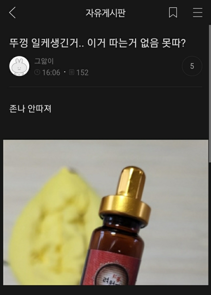 여시들이 사는 소소한 이야기(동물캡쳐 많음 ㅋ) | 인스티즈