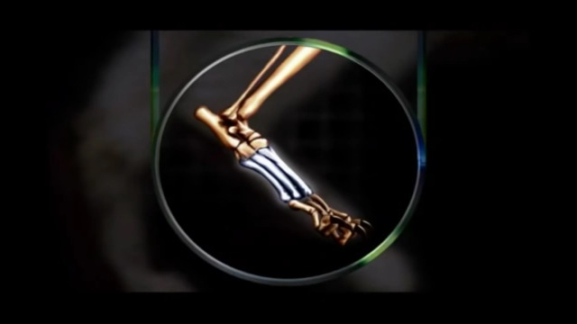 고양이는 뭘로 걸어 여시야????? | 인스티즈