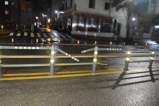 무단횡단 50대 차량 4대에 잇달아 치여 사망…운전자 전원 뺑소니 입건 | 인스티즈