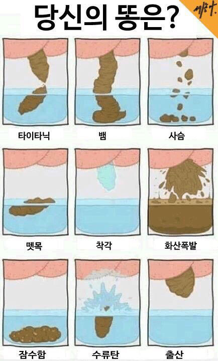 당신의 똥은? | 인스티즈