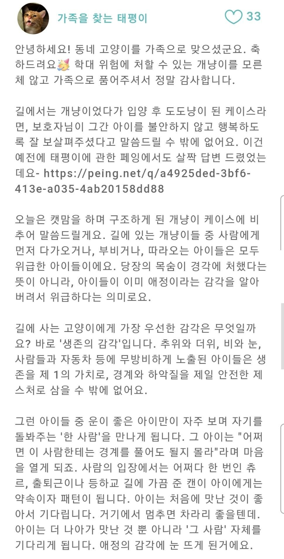 Q : 길냥이시절엔 애교넘쳤던 고양이가 입양후에 도도냥이가 됐어요 | 인스티즈