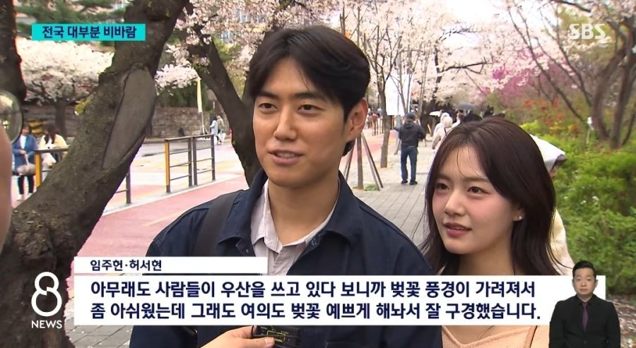 오늘 벚꽃구경하러 온 커플 인터뷰... | 인스티즈