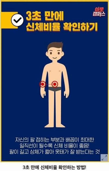 3초만에 자기 신체 비율 확인하는 방법 | 인스티즈
