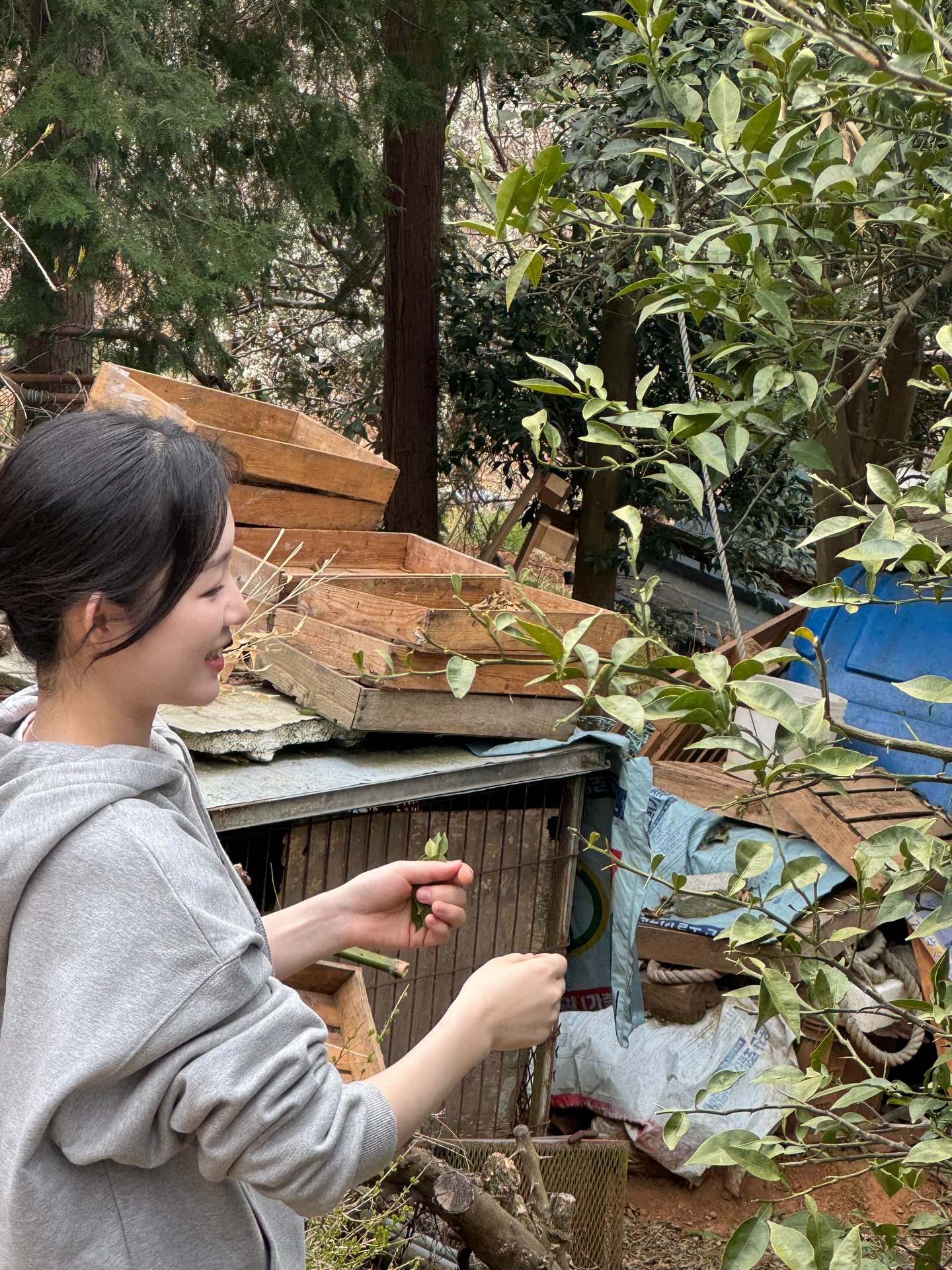 아기맹수 김시현 셰프 인스타 근황.jpg | 인스티즈