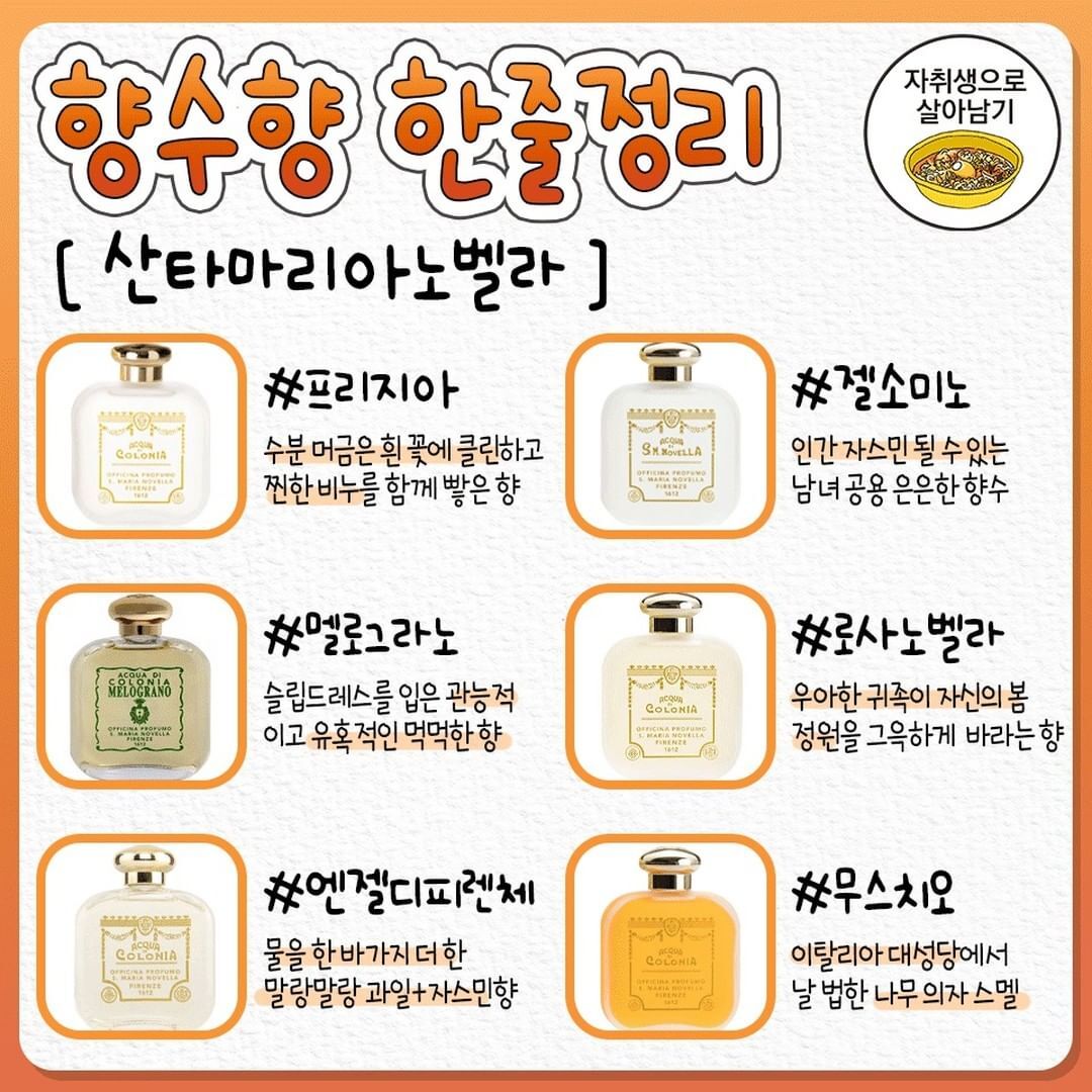 향수향 한줄정리.jpg | 인스티즈