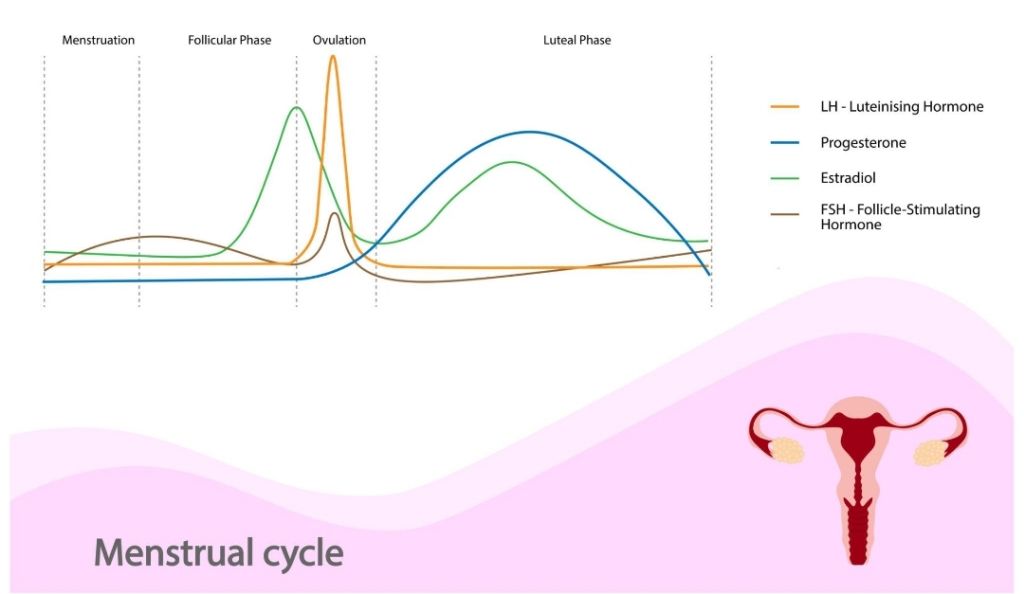 생리할 때 관절이 느슨해진다? 반은 맞고 반은 틀림!! | 인스티즈