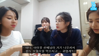 JYP 소속 아이유 여덕 | 인스티즈