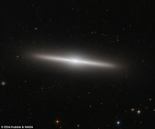 새크라멘토의 뱀파이어로 불렸던 리처드 체이스 | 인스티즈