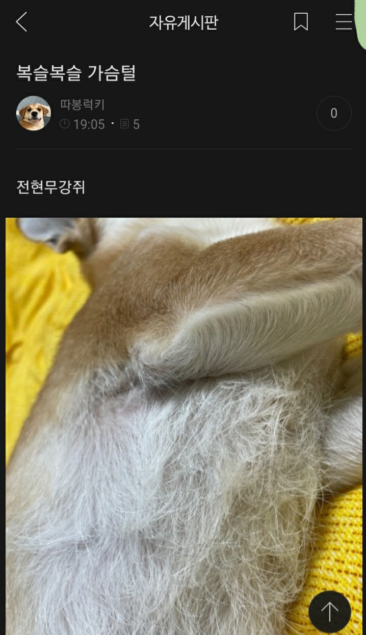 여시들이 사는 소소한 이야기(동물캡쳐 많음 ㅋ) | 인스티즈